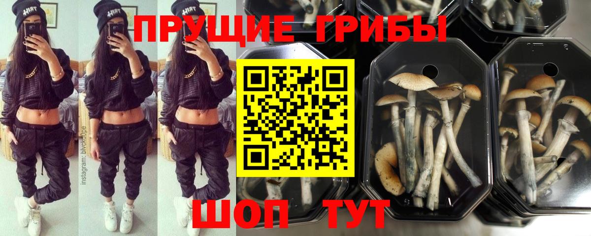 наркошоп  Галлюциногенные грибы Cubensis  Вход с VPN  Сатка 